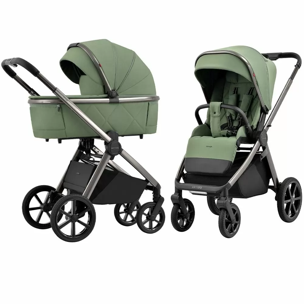 Коляска 2 в 1 Carrello Omega