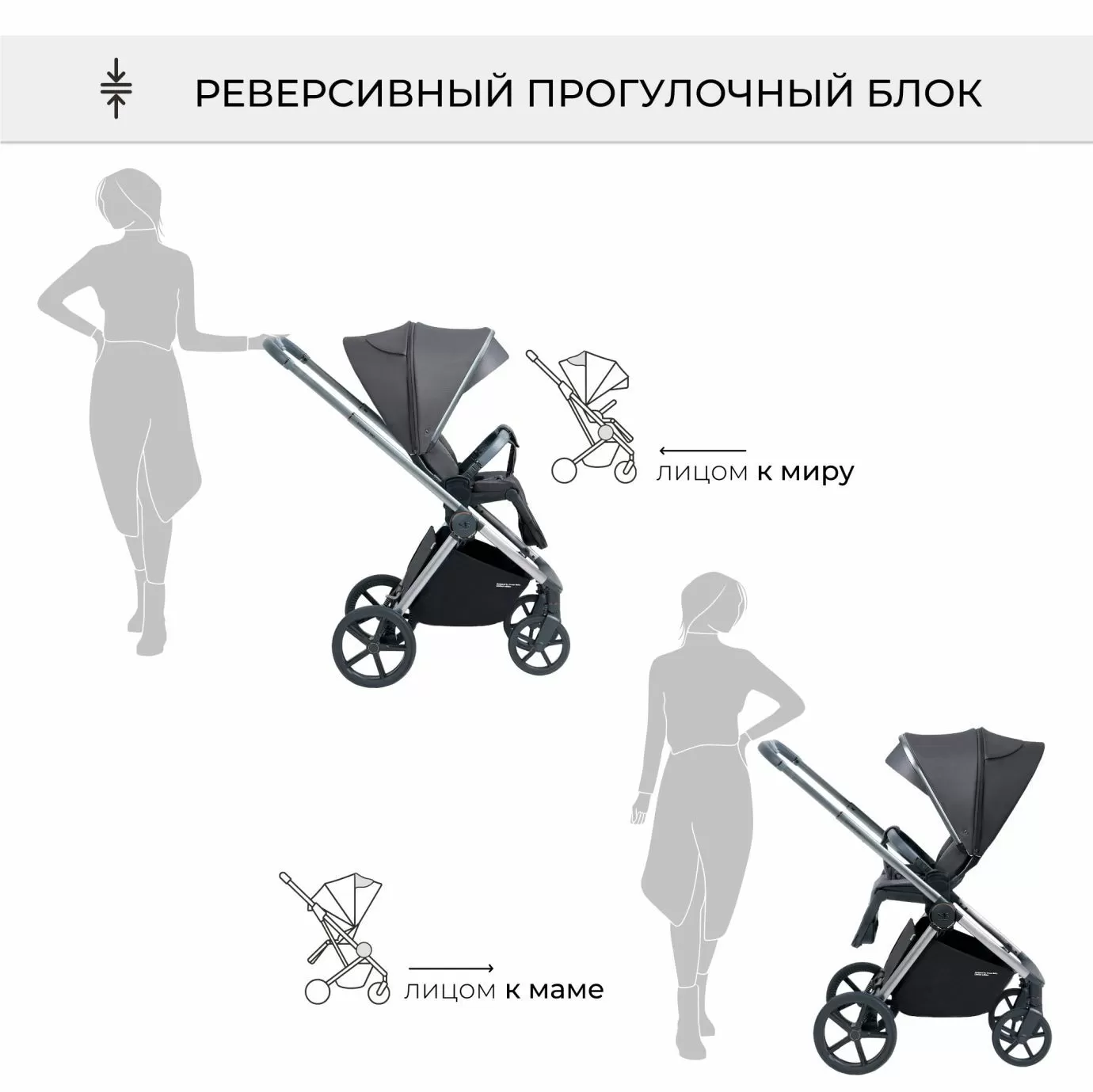 Коляска Elegante BRD