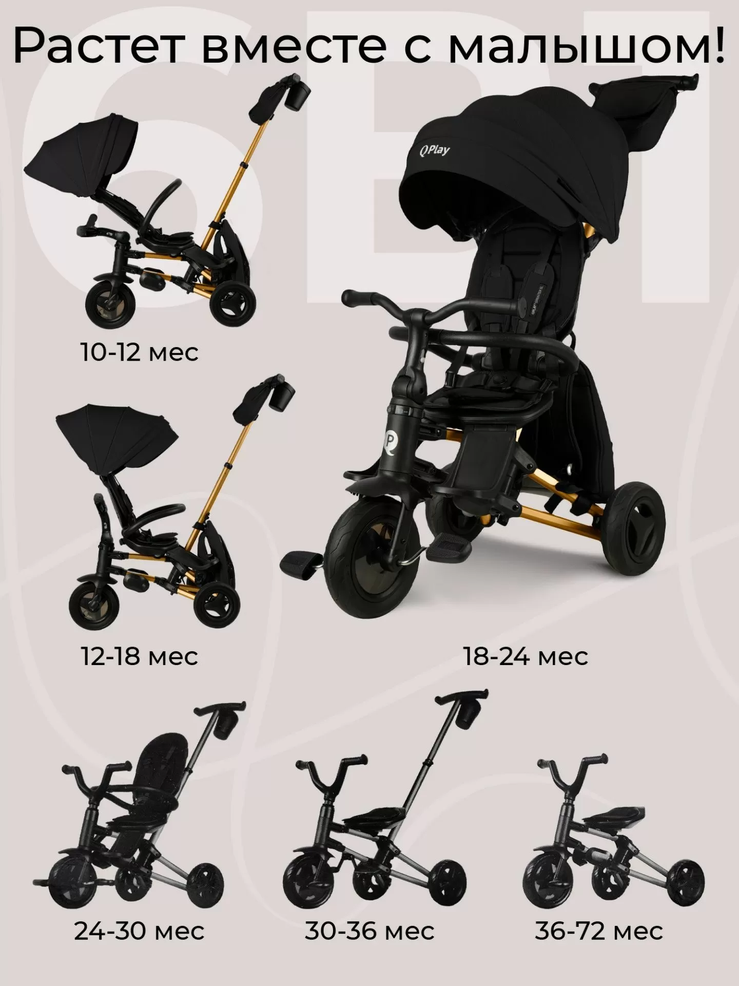 Велосипед трехколесный Qplay S700-17 SPRINTER (Rider) SL Black (Rub/Gold)
