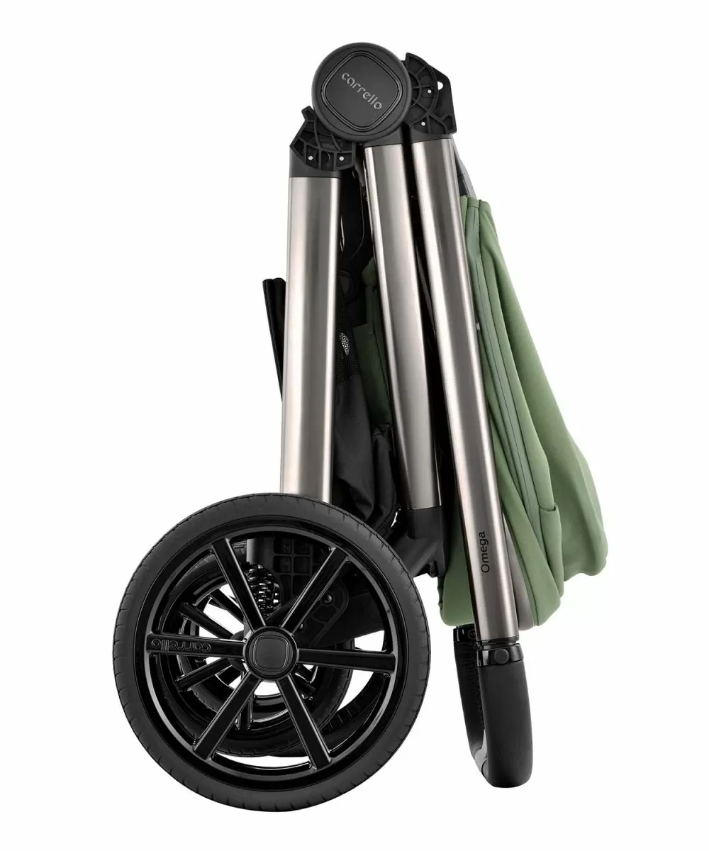 Коляска 2 в 1 Carrello Omega