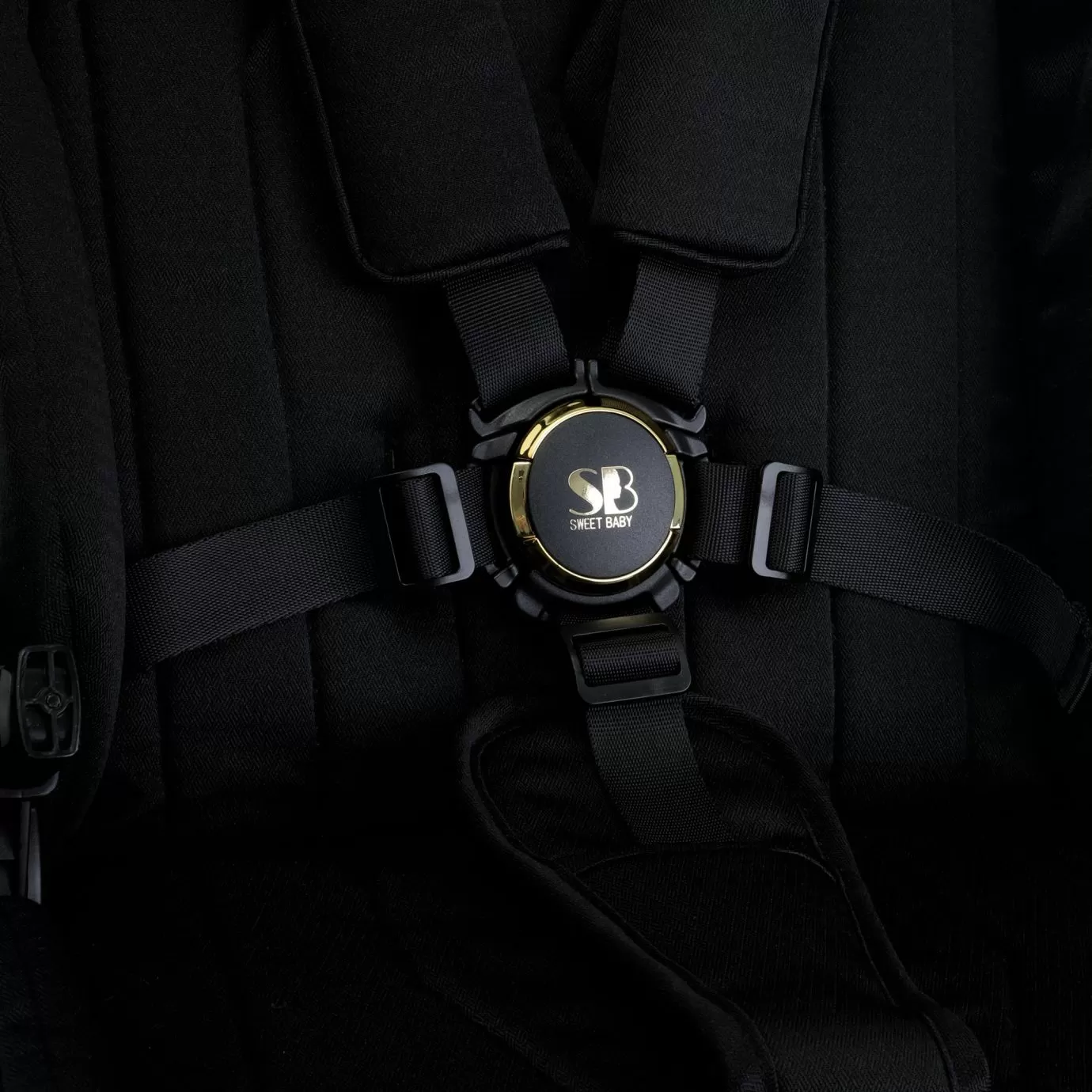 Прогулочная коляска Elegante GL Black