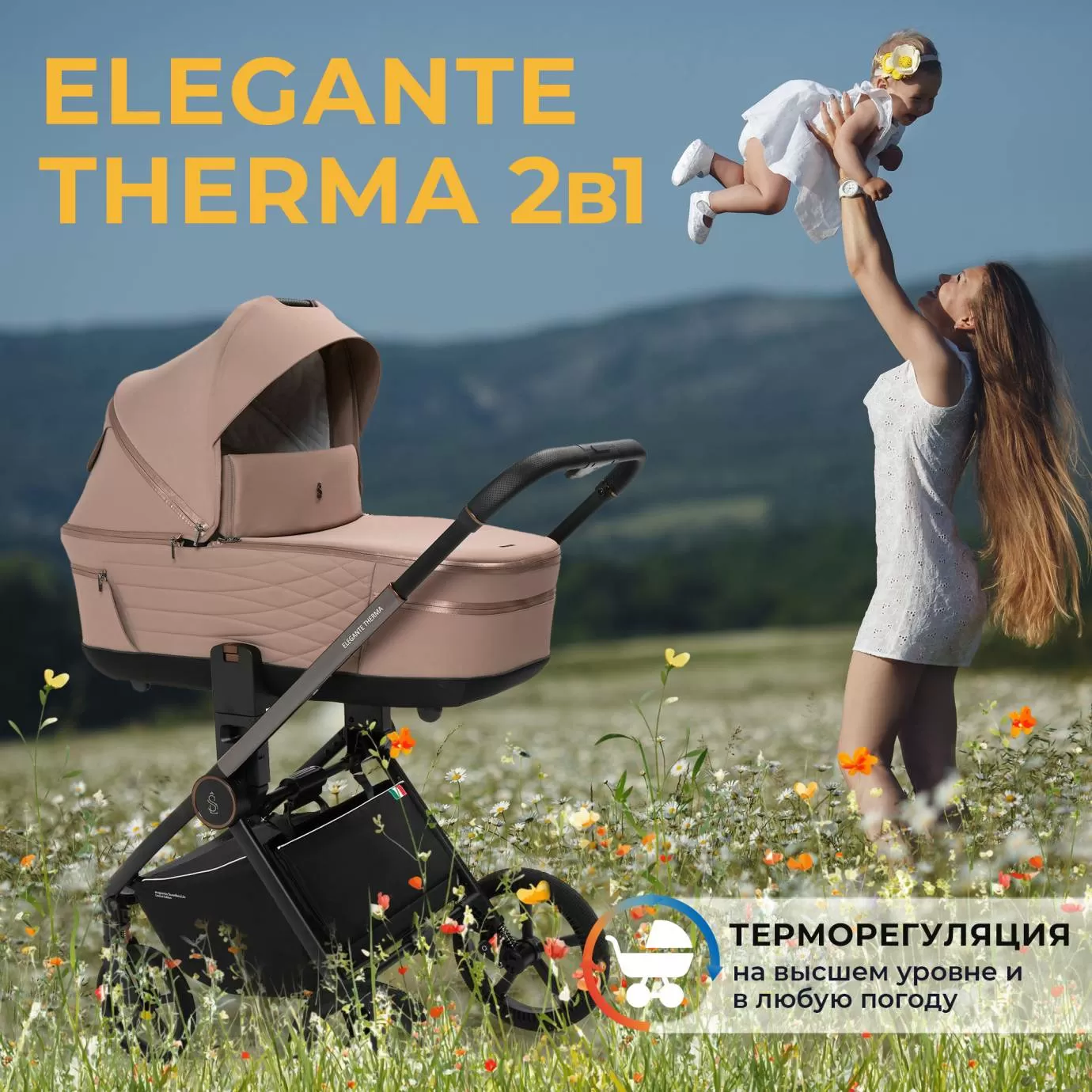 Коляска 2в1 SBL Elegante Therma