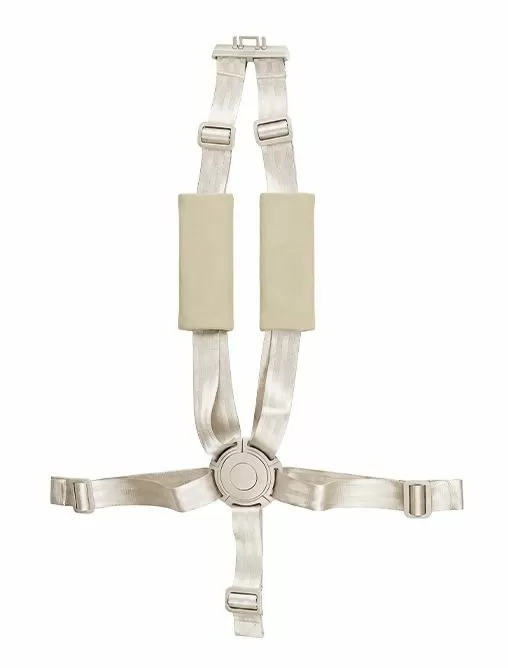 Стульчик для кормления Carrello Focus, Croissant Beige