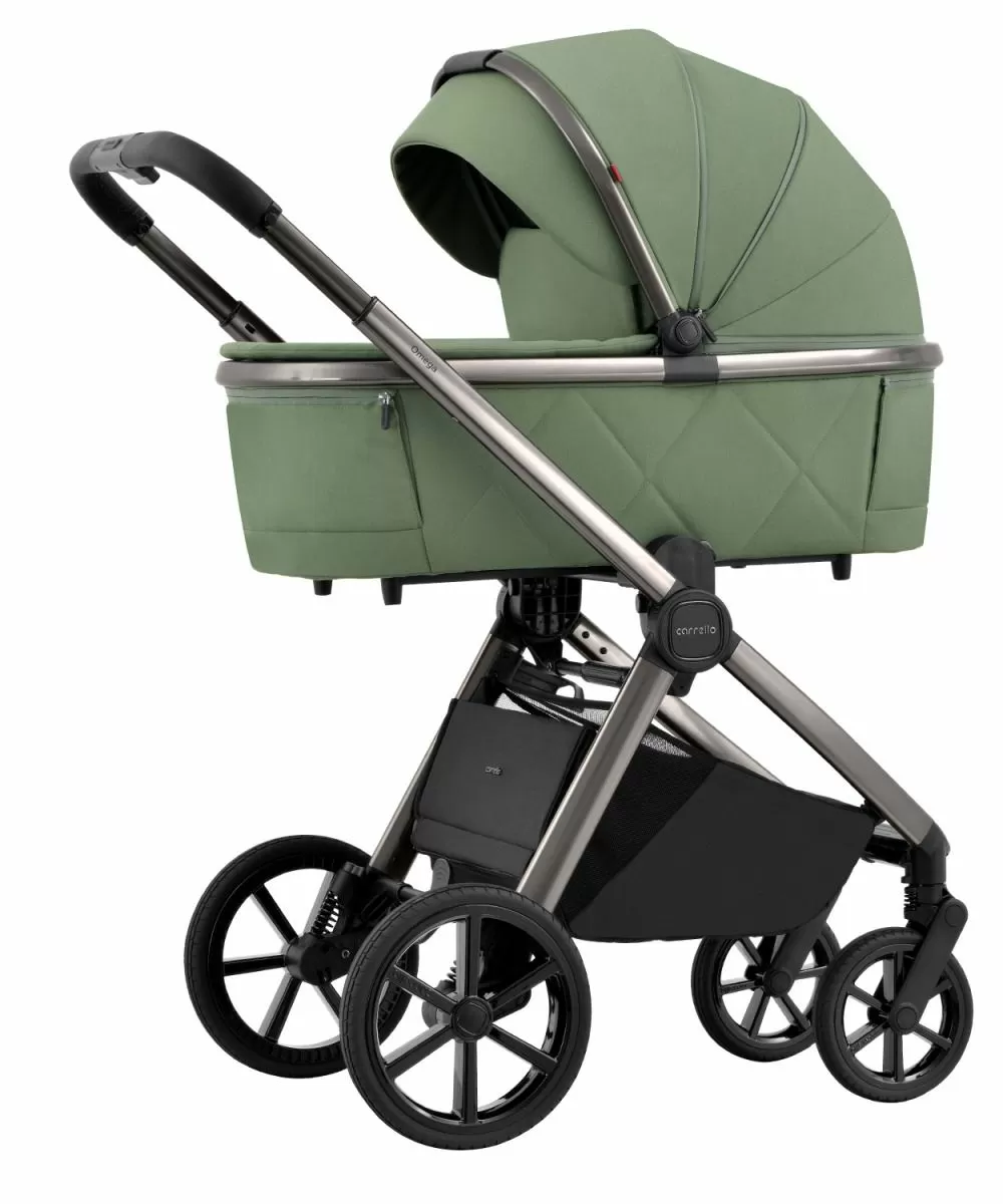 Коляска 2 в 1 Carrello Omega