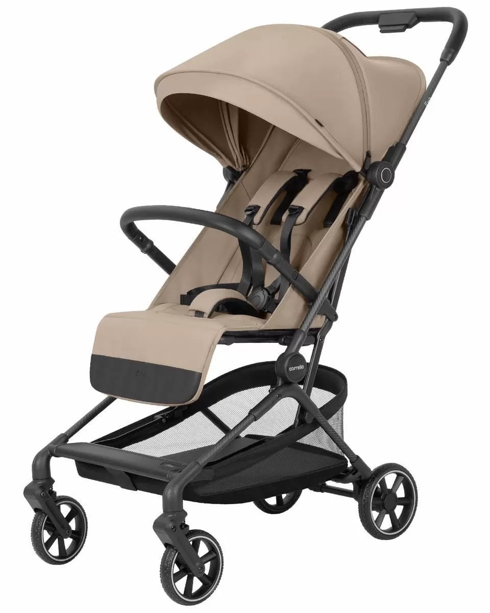 Коляска прогулочная Carrello Evo