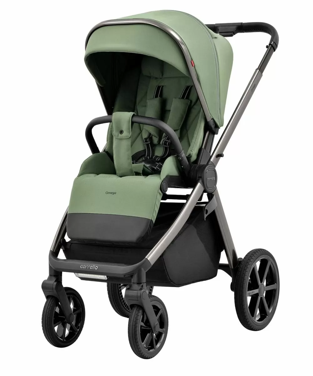 Коляска 2 в 1 Carrello Omega