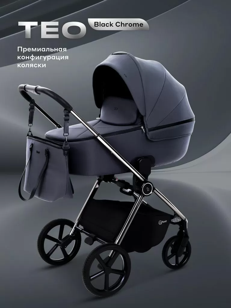 Коляска универсальная 2 в 1 Rant TEO CHROME