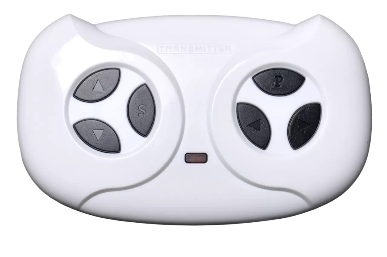 Багги электромобиль TR114