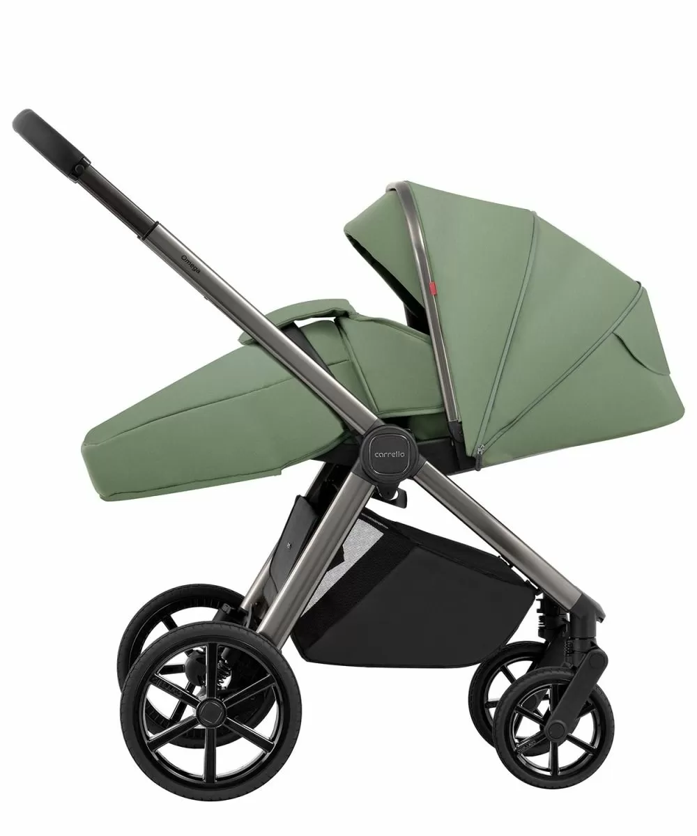 Коляска 2 в 1 Carrello Omega