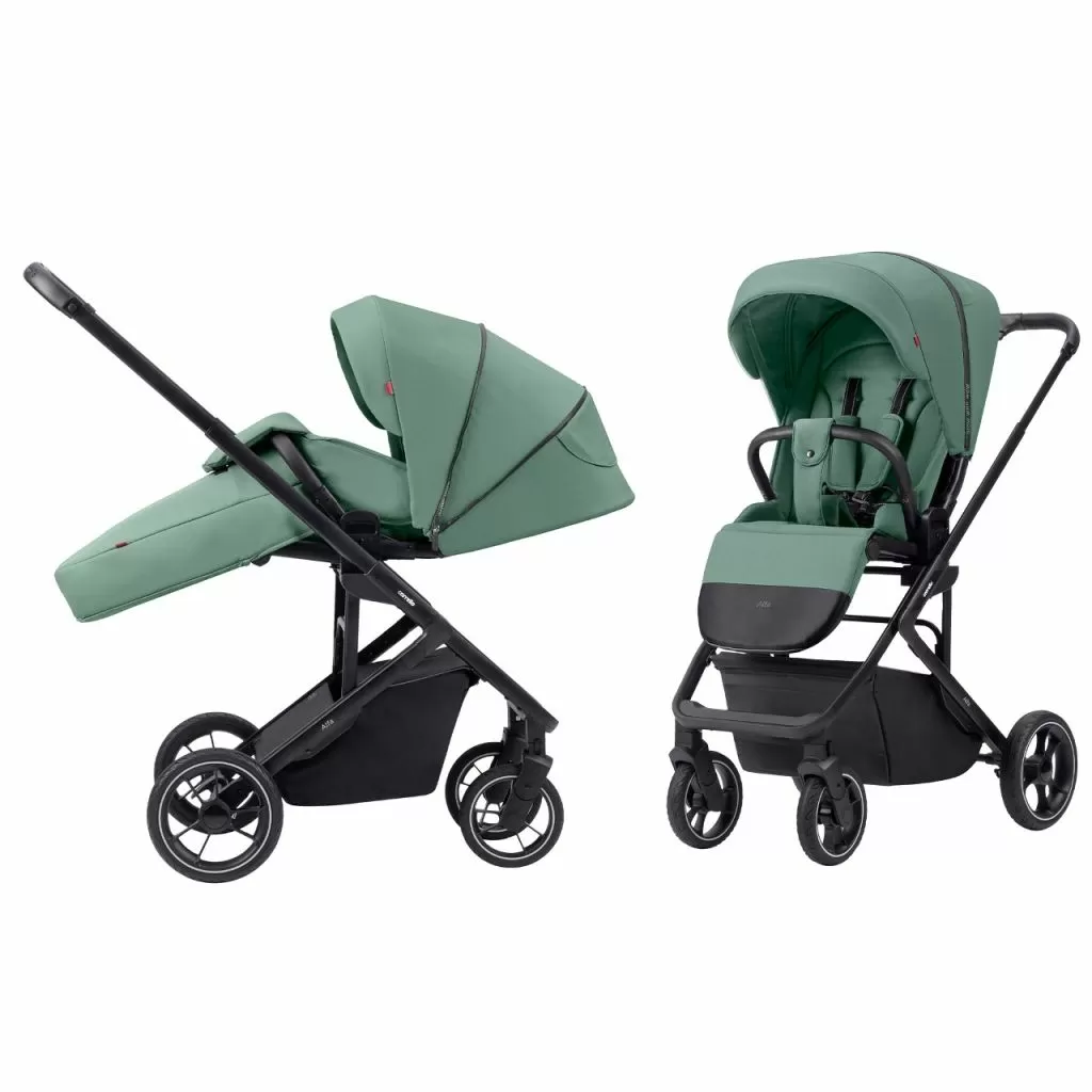 Коляска прогулочная Carrello Alfa 2024