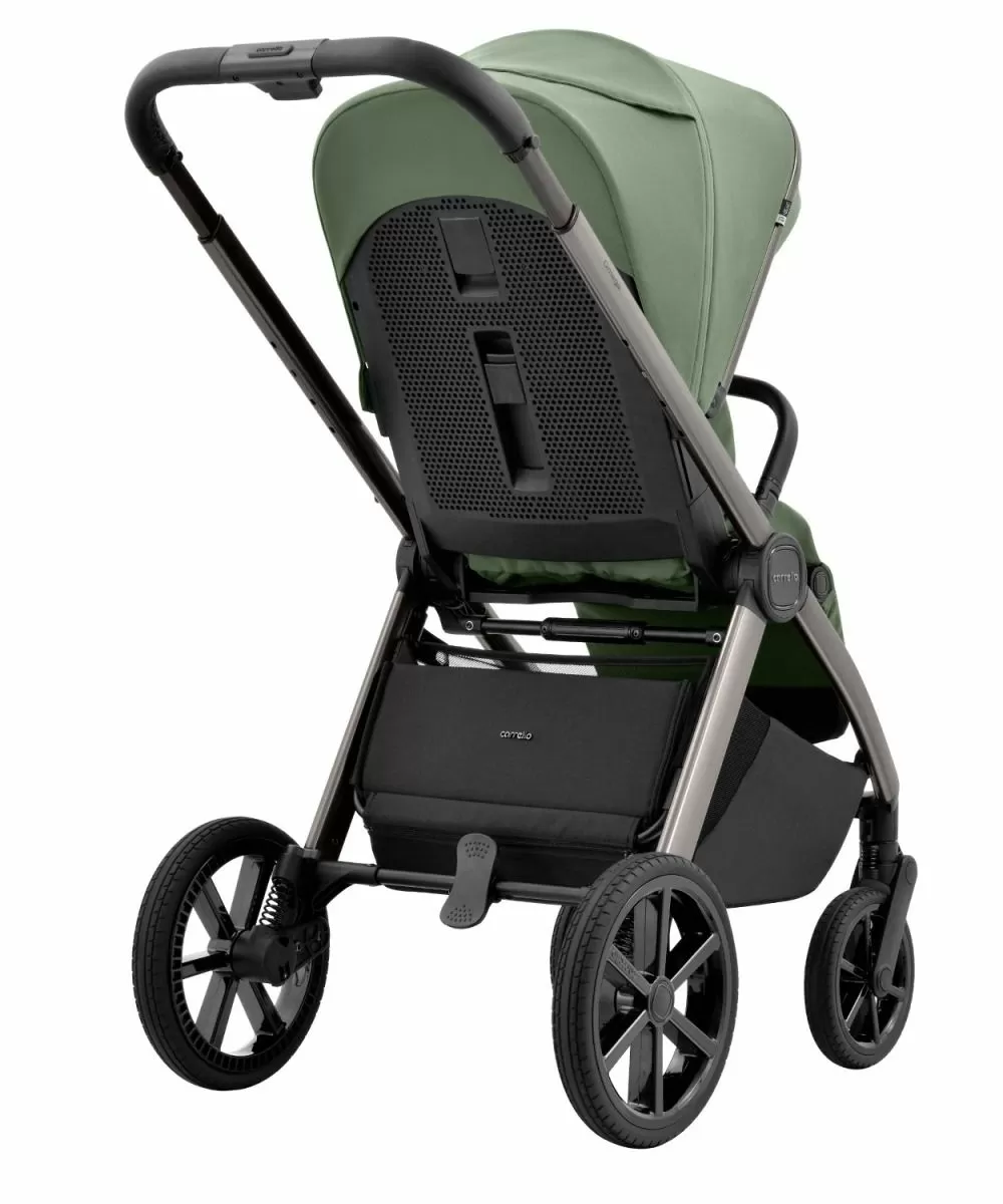 Коляска 2 в 1 Carrello Omega