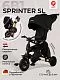 Велосипед трехколесный Qplay S700-17 SPRINTER (Rider) SL Black (Rub/Gold)