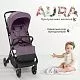 Прогулочная коляска Aura Rose