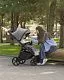 Коляска прогулочная Carrello Bravo Plus 2026