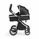 Коляска-трансформер 2в1 Ranger Black Gold