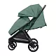 Коляска прогулочная Carrello Nero