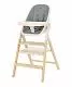 Стульчик для кормления Carrello Ergo, Carbon Grey (Темно-серый)