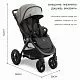 Прогулочная коляска Egoista Gray (Air)