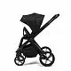 Коляска 2в1 Peppy Monaco Plus Black (рама черная)
