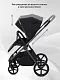 Коляска универсальная 2 в 1 Rant TEO CHROME