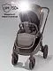 Коляска детская из экокожи 2в1 Motus Premium Ecco Exclusive, серый