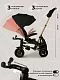 Велосипед трехколесный Qplay S700-17 SPRINTER (Rider) SL Black (Rub/Gold)