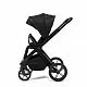 Коляска 2в1 Peppy Monaco Plus Black (рама черная)