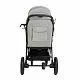 Прогулочная коляска Egoista Gray (Air)