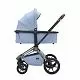 Labala RAIZ EDITION LINE 2025 Sky blue