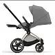 Cybex Priam IV коляска 2 в 1 Grey рама gold