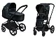 Детская коляска Cybex Priam III 2 в 1 FE Jewels of Nature