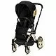 Детская коляска Cybex Priam IV 2 в 1 By Jeremy Scott