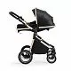 Коляска-трансформер 2в1 Ranger Black Gold