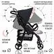 Прогулочная коляска Rapido French Rose