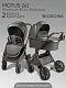 Коляска детская из экокожи 2в1 Motus Premium Ecco Exclusive, серый