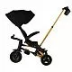 Велосипед трехколесный Qplay S700-17 SPRINTER (Rider) SL Black (Rub/Gold)