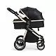 Коляска-трансформер 2в1 Ranger Black Gold