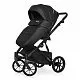 Коляска 2 в 1 Riko Basic Montana Ecco