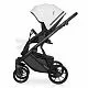 Коляска 2 в 1 Riko Basic Montana Ecco