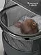Коляска детская 2 в 1 Amarobaby Genius