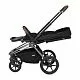 Labala RAIZ EDITION LINE 2025 Black night
