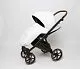 Коляска Peppy Space