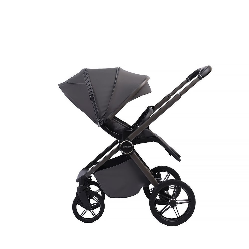 Коляска 2в1 Peppy Monaco Plus Antrazit (рама серая)