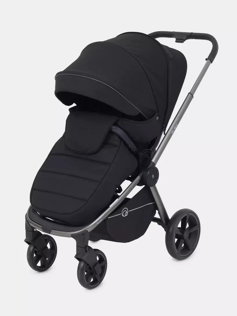 Коляска прогулочная Rant Flex Pro 2023
