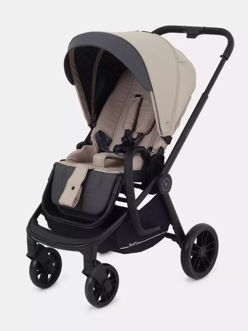 Коляска универсальная Rant Energy 2024