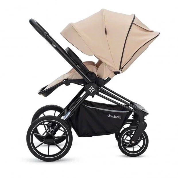 Детская коляска 2 в 1 RAIZ new