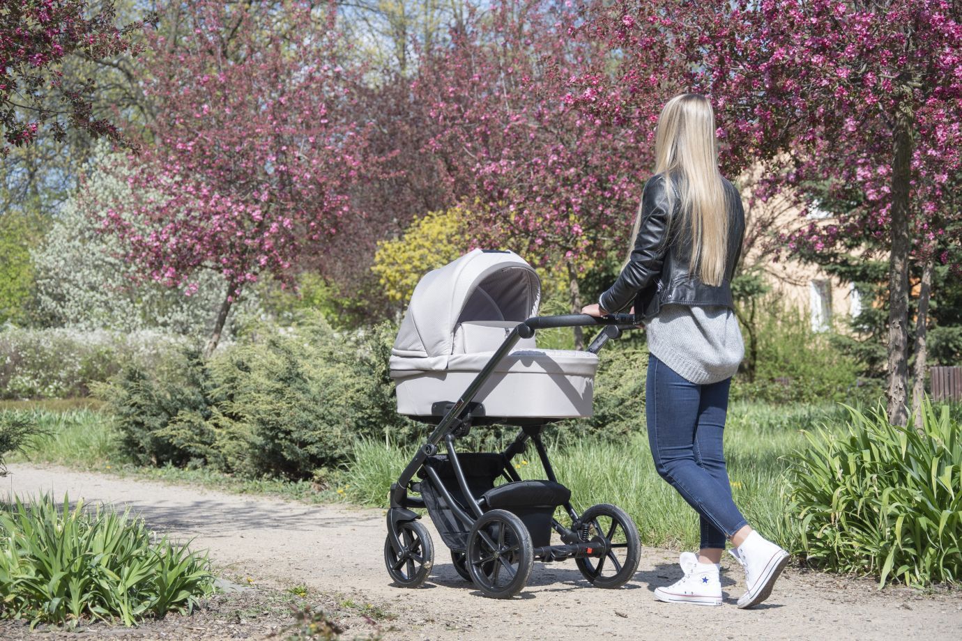 Коляска Coletto Dante