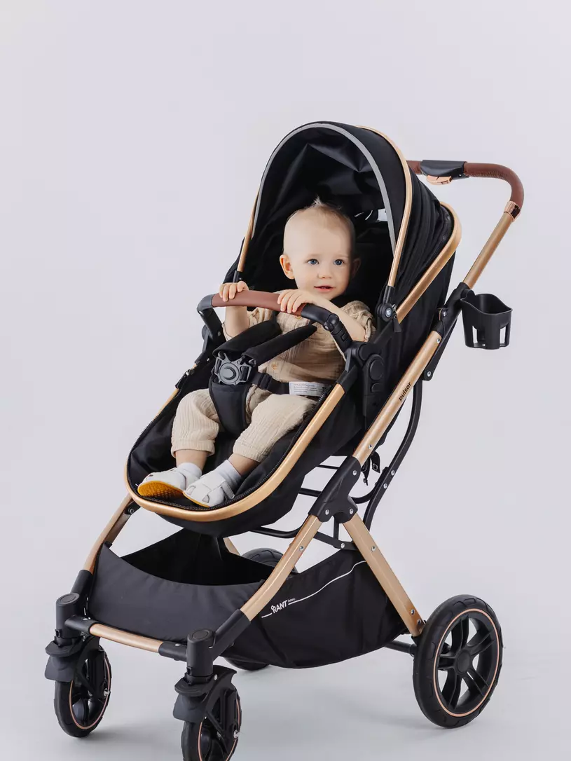 Коляска-трансформер Rant Basic Pulsar Gold