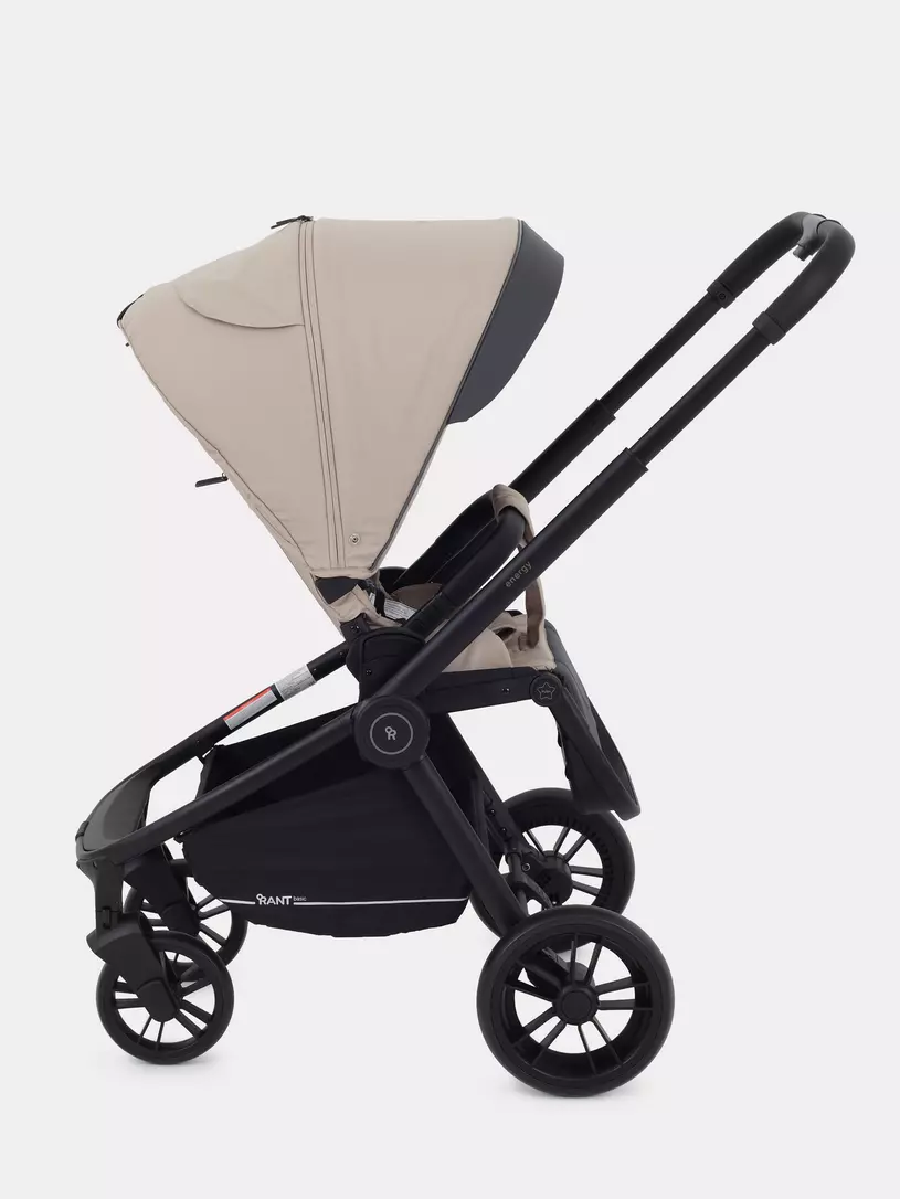 Коляска универсальная Rant Energy 2024