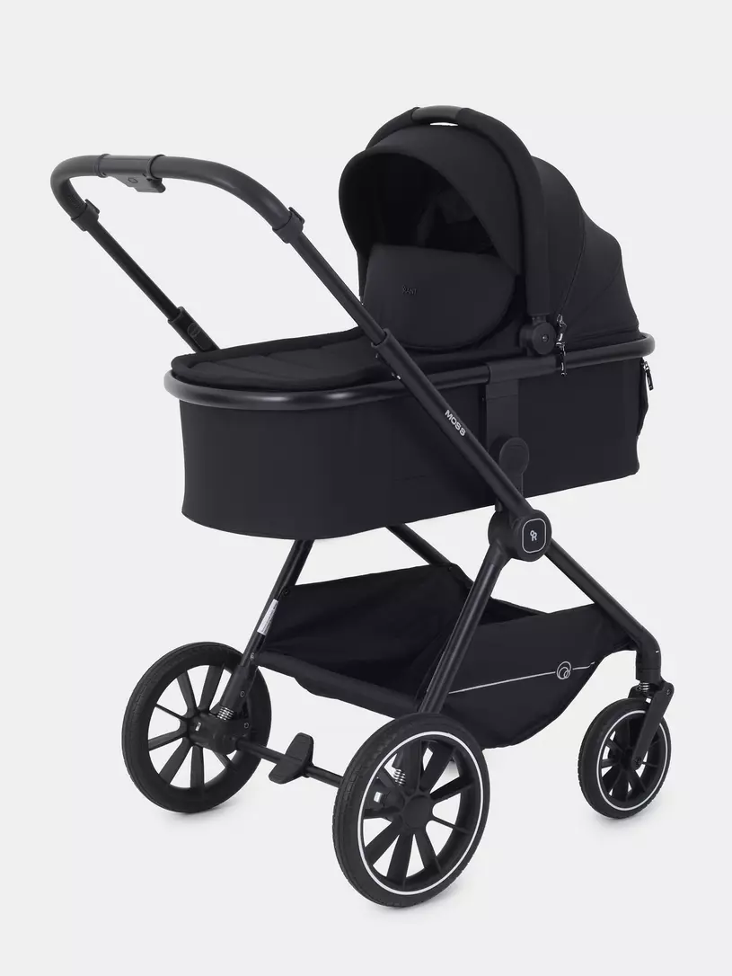 Коляска 2 в 1 RANT MOSS